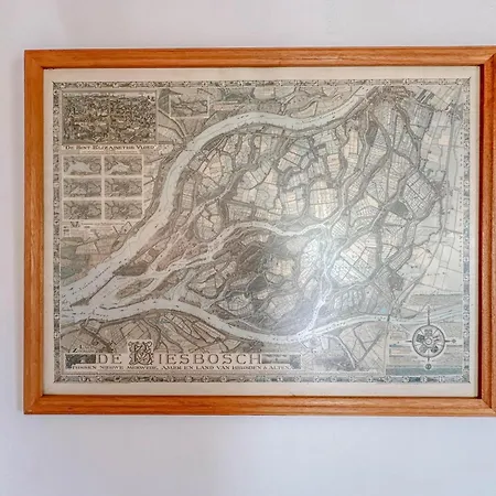 Semesterbostad Biesboschhuisje