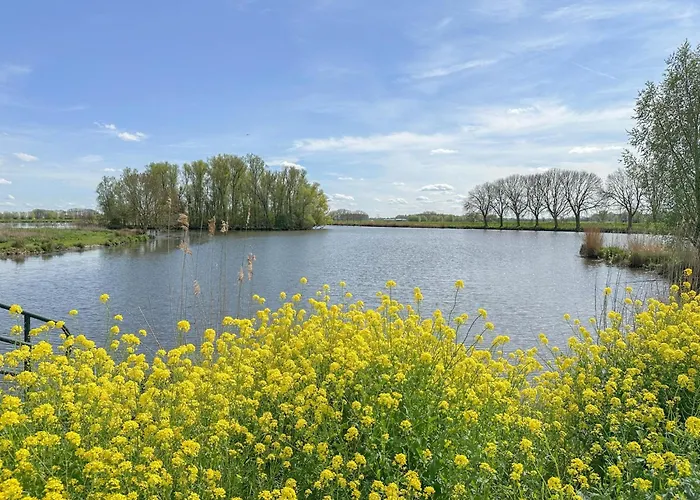 Biesboschhuisje Casa de Férias