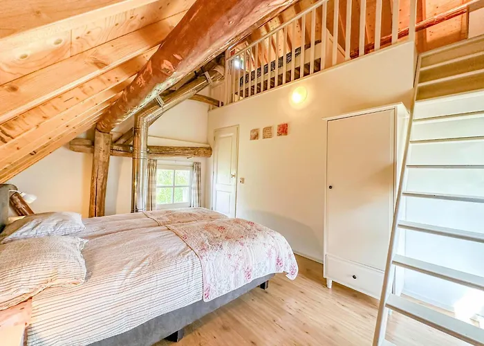 Biesboschhuisje Hooge Zwaluwe