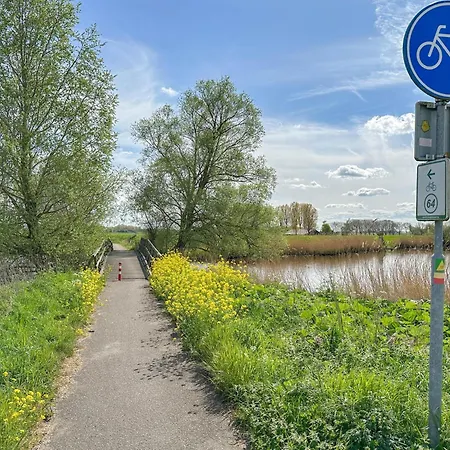 Biesboschhuisje Dom wakacyjny *